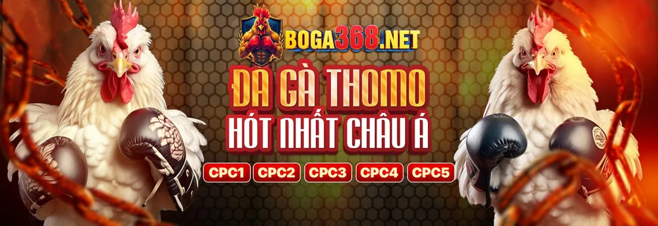 Đá Gà Trực Tuyến kc88 casino