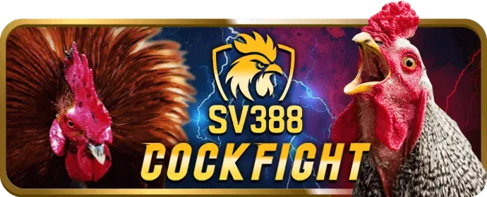 Bảo mật thông tin người dùng kc88 casino